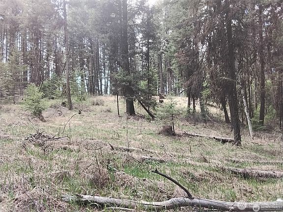 3rd image of 44 Trapline Loop Road