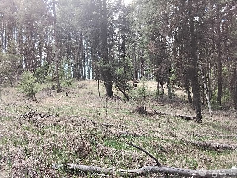 3rd image of 44 Trapline Loop Road