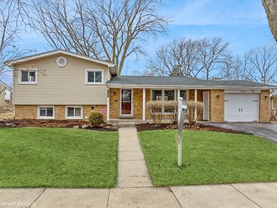 1316 N Vail Ave, Arlington Heights, IL, 60004
