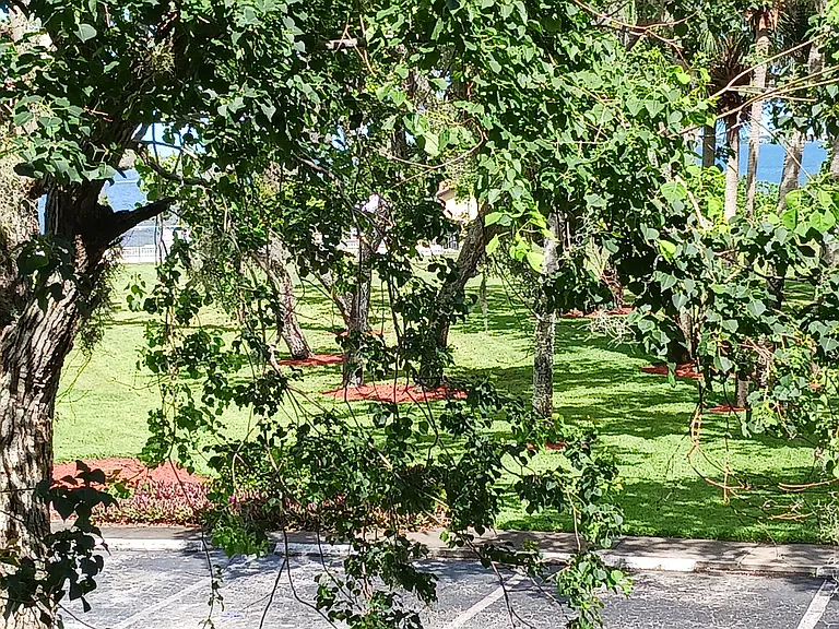 View from balcony