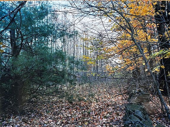 Path top side of property