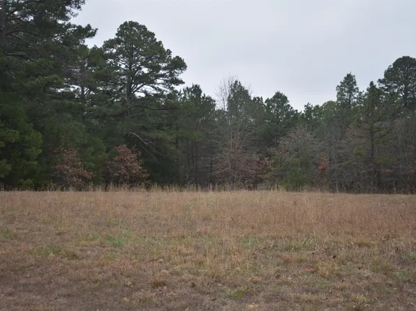 010-11219-038 Swiss Alps Ln, Mountain Home, AR 72653