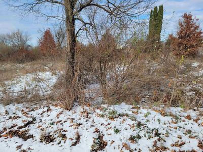 10378 Heatherlawn Ct, Jerome, MI, 49249