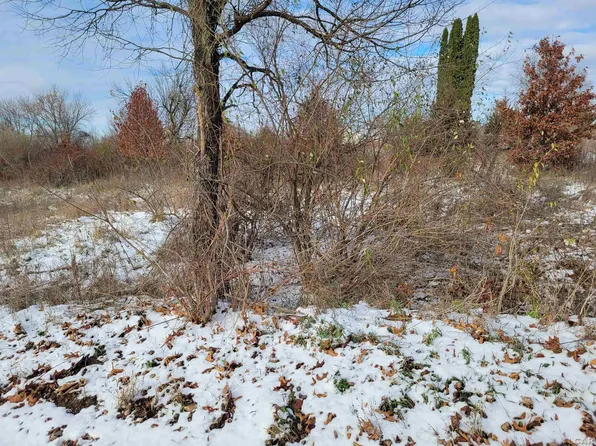 10378 Heatherlawn Ct, Jerome, MI 49249