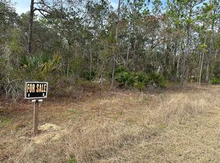 16383 Nashville Warbler Rd, Weeki Wachee, FL 34614