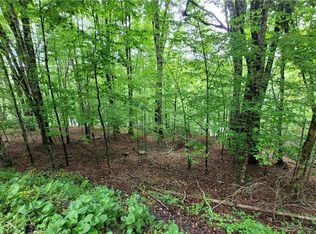 130 E Blueberry Lane, Beech Mountain, NC 28604