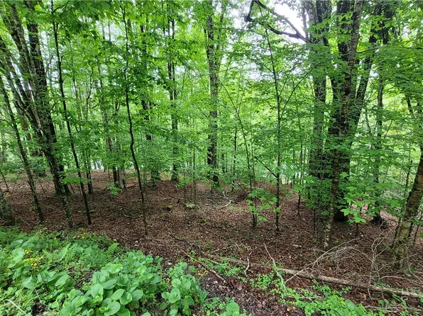 130 E Blueberry Lane, Beech Mountain, NC 28604