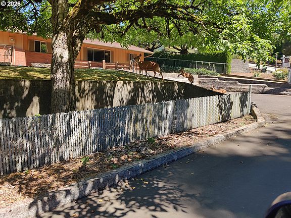 2nd image of 2300 NE 46th St