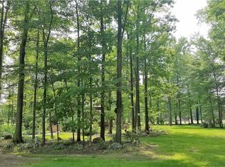 Elliott Ave, Jefferson, OH 44047