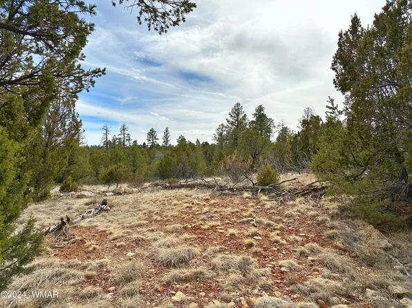 1787 Eagles Nest Rd, Heber, AZ 85928