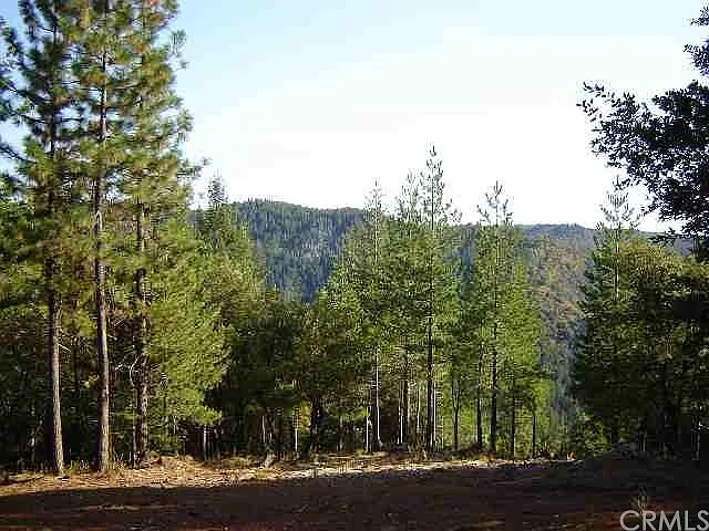 Mann Ave photo 1