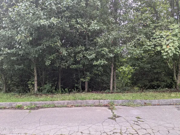 330 Bayberry Dr, Kingsport, TN 37663