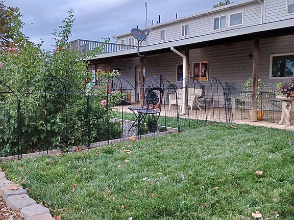 The back yard - grass is not nice anymore so it's perfect for dogs