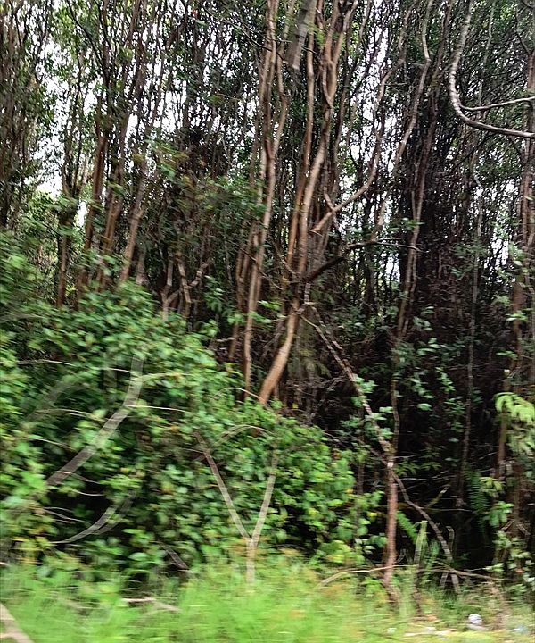 1st image of Emerald Dr