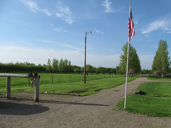 East pasture & driveway