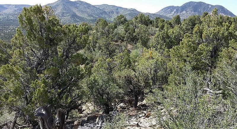 1st image of Lot 1 Far West