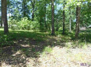 Tbd Raleigh Dr, Ethel, LA 70730