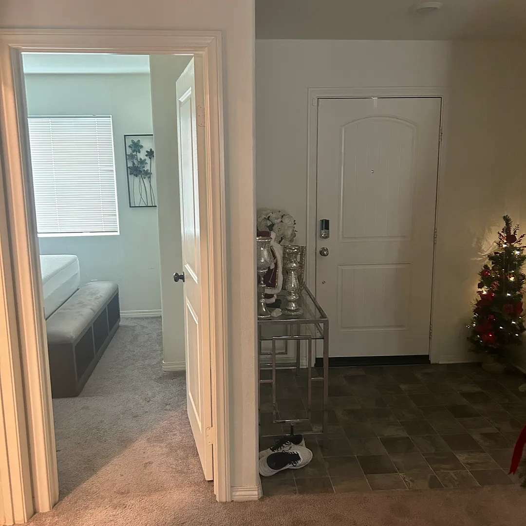 1 bed, $900 — Photo 2