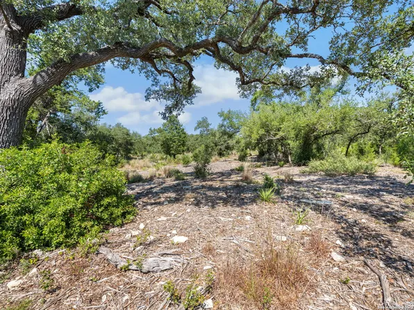 840 Earle Oak LOT 8, Bulverde, TX 78163