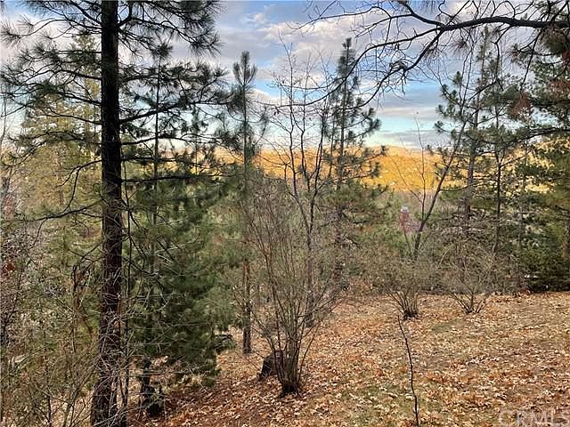 1st image of 28272 Arbon Ln