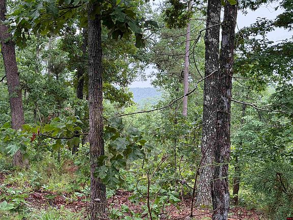 4th image of Off Of Morgan Cave Rd