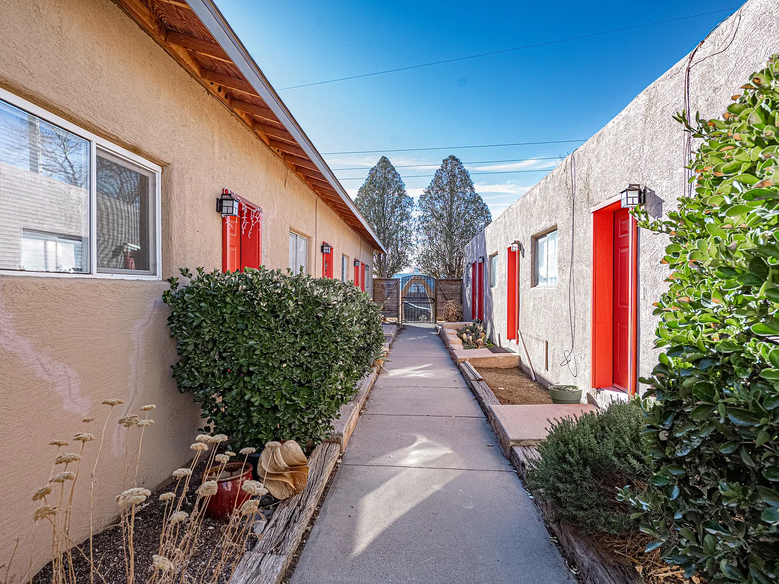 Beautifully Updated UNM 1 Bedroom Apartments — Photo 4