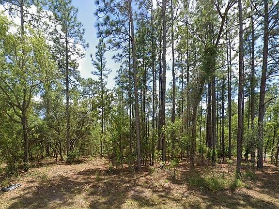 2nd image of 3662 W GALTONIA LANE LOT 1