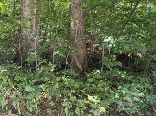 0 Pace Mountain Rd, Saluda, NC 28773