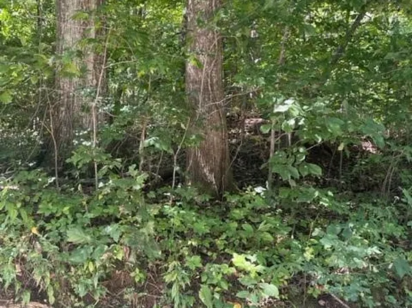 0 Pace Mountain Rd, Saluda, NC 28773