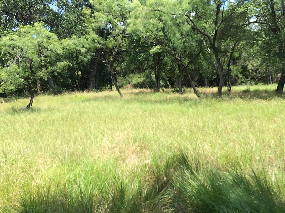 1st image of Lost Buck