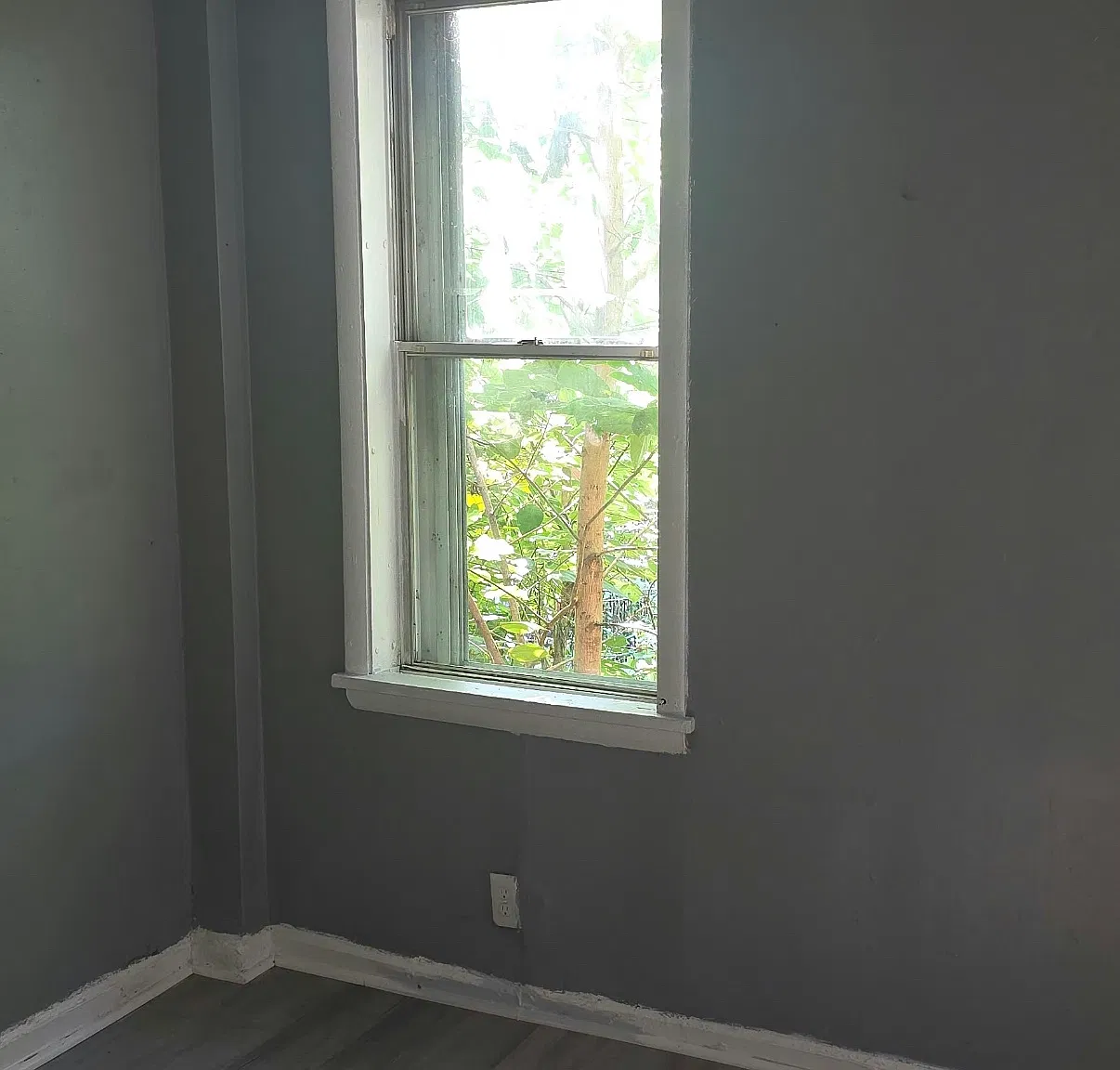 1 bed, $1,000 — Photo 4