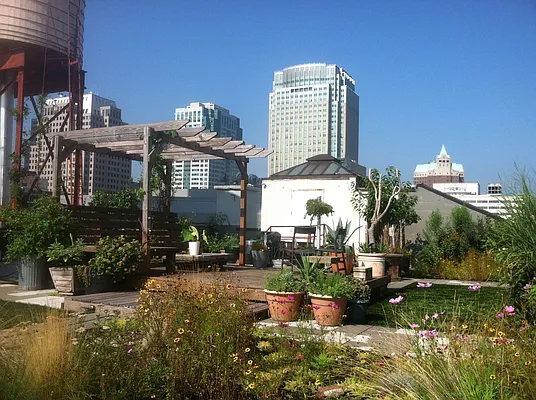 Rented by Owen C Wright, LREB | media 21