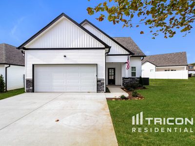 121 Dimaggio Dr, Springfield, TN, 37172