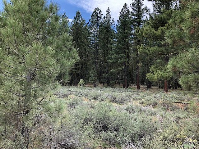 1st image of 6091 N Iron Horse Dr