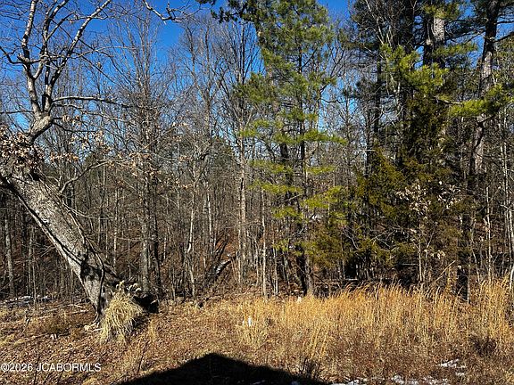 4th image of 10138 Short Cut Trl