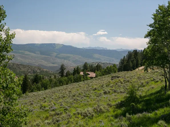 527 Graham Rd, Edwards, CO 81632