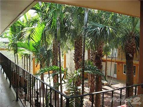 5th image of 7901 SW 64th Ave APT 10