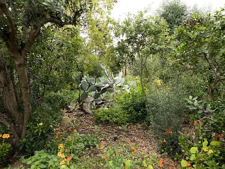 2604 Foothill Rd — Photo 38
