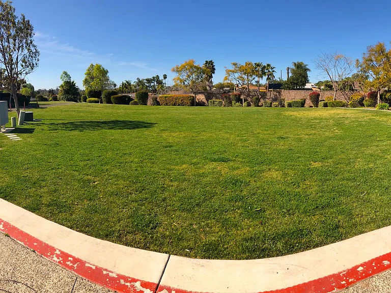 Community grass area