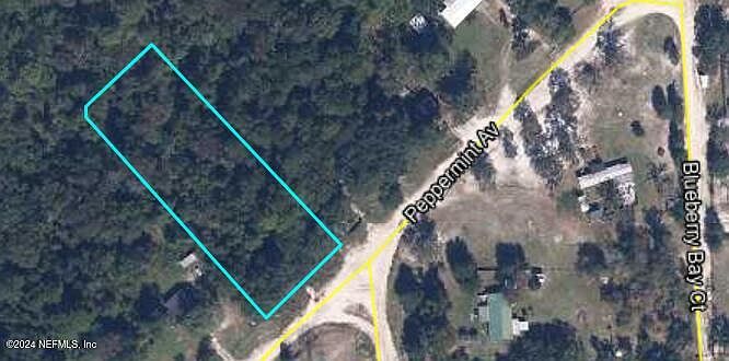 2nd image of 197 PEPPERMINT Avenue