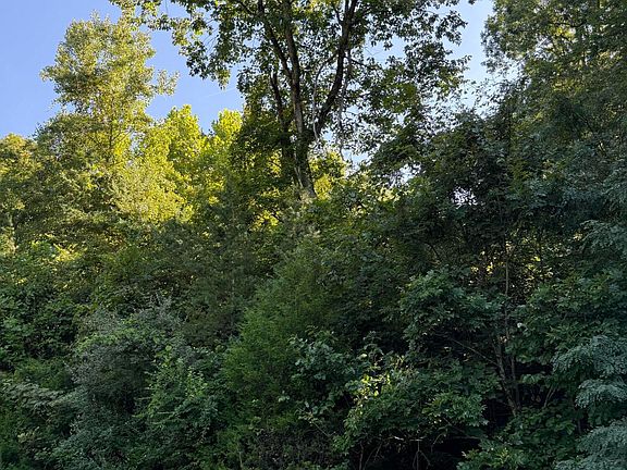 3rd image of Larayne Hollow Rd