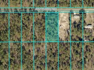 LOT 10 SW Nautilus Blvd LOT 10, Dunnellon, FL 34431