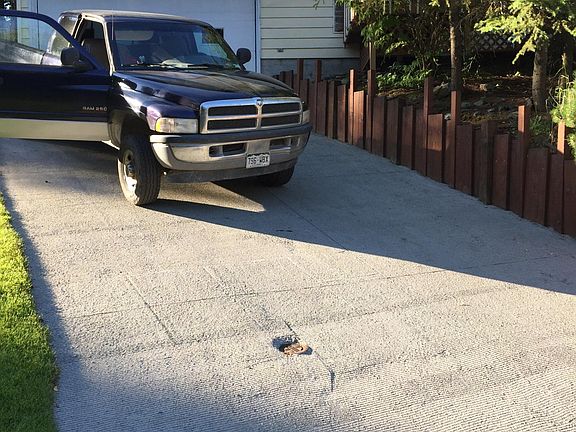 SUMMERTIME VIEW OF HEATED DRIVEWAY, SHOWING TEMP SENSOR
