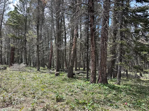 792 Crest Dr, Cimarron, CO 81220