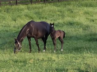 140 Craigs Creek Rd, Versailles, KY 40383