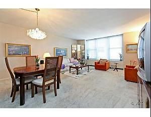 2nd image of 777 N Michigan Ave APT 3808