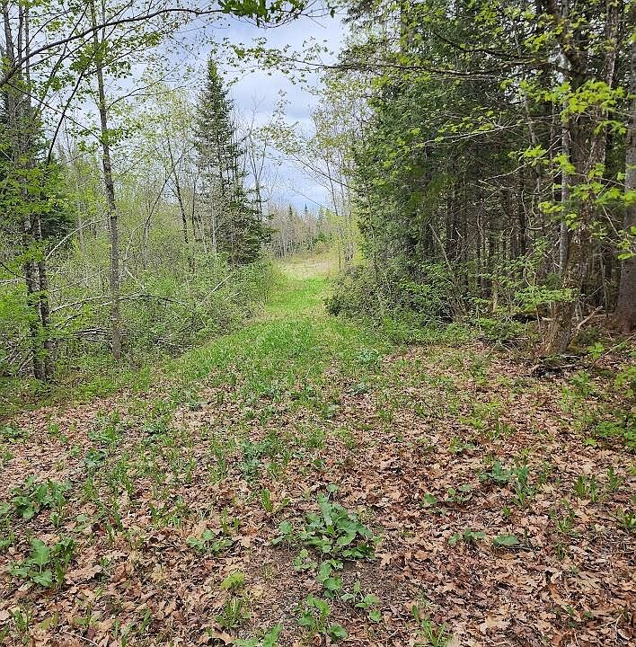 2nd image of 18.5 ac off Estabrook Road