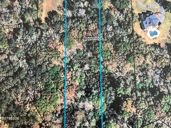 2204 Wyndham Way Dr, Bainbridge, GA 39819