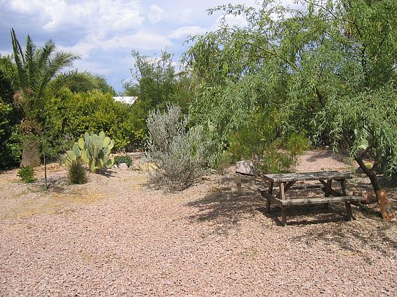 Front Yard is a Wildlife Park with Hummingbirds, Dragonflies and Butterflies