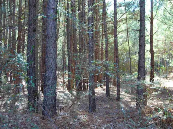 1255 Laurel Cir, Vass, NC 28394